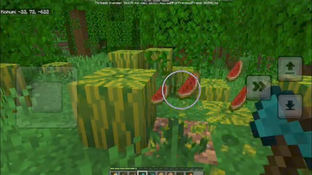 Minecraft Bedrock Ormanın Hikayesi!
