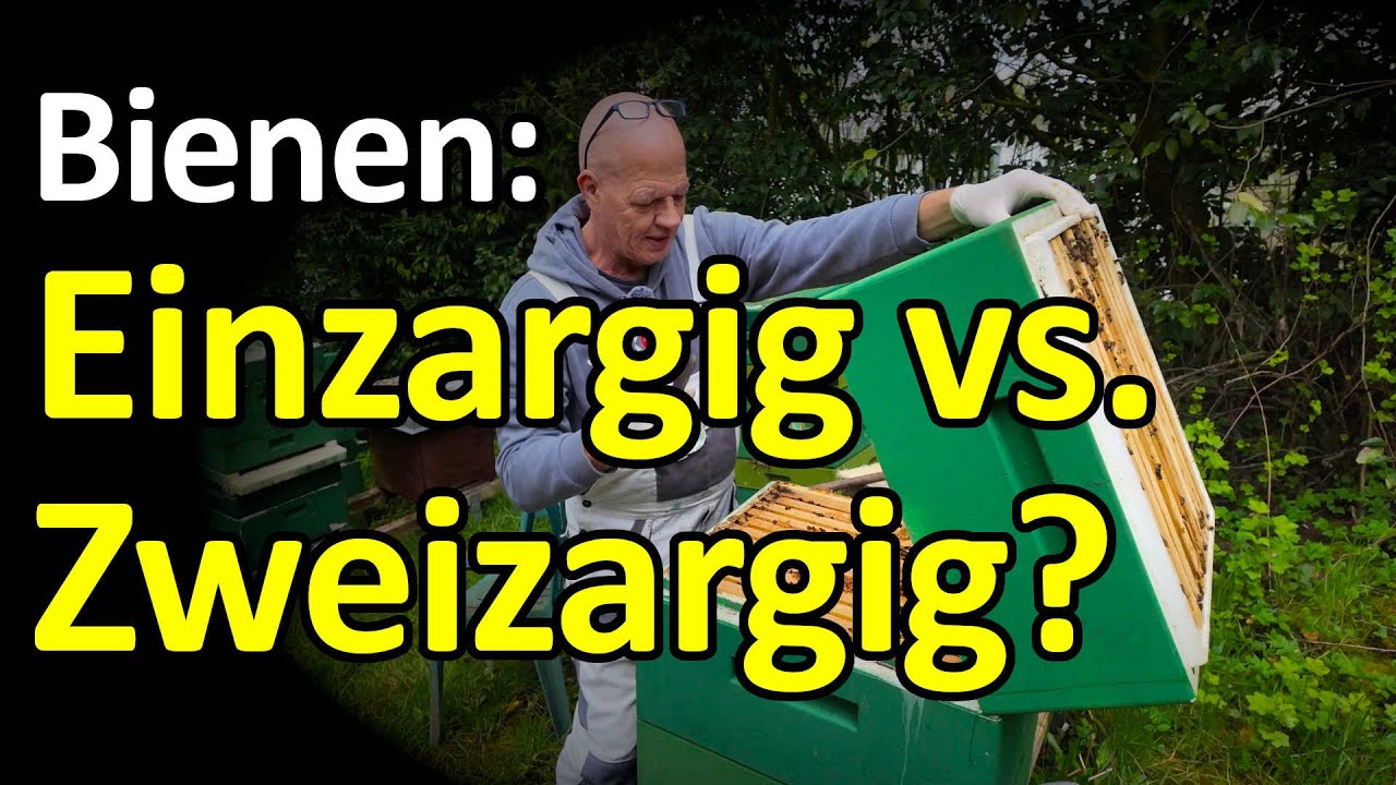 Bienen: Einzargige oder zweizargige Brutnest-Betriebsweise? DN, Zander, Langstroth oder Dadant?