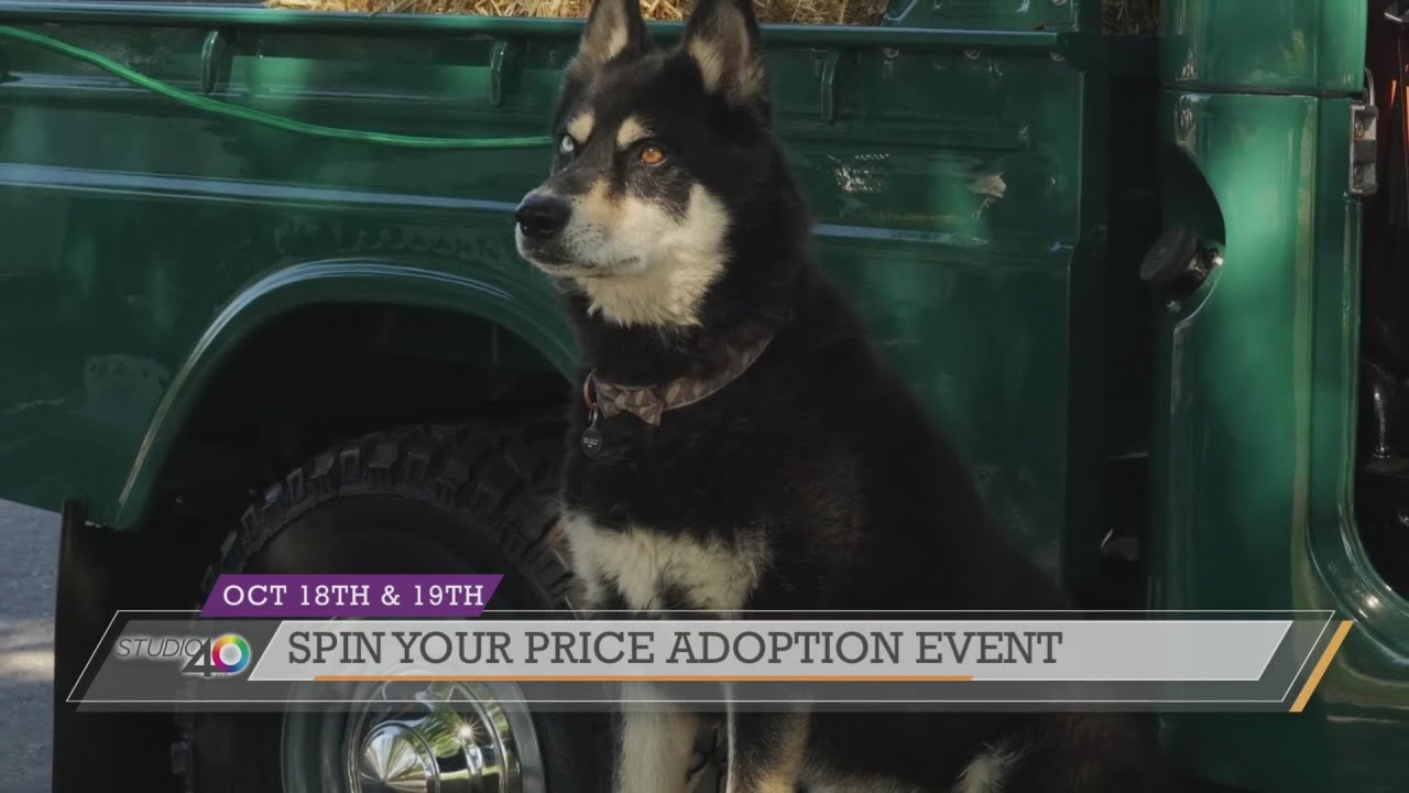 Bradshaw Animal Shelter - Spin Your Price Adoption Event!