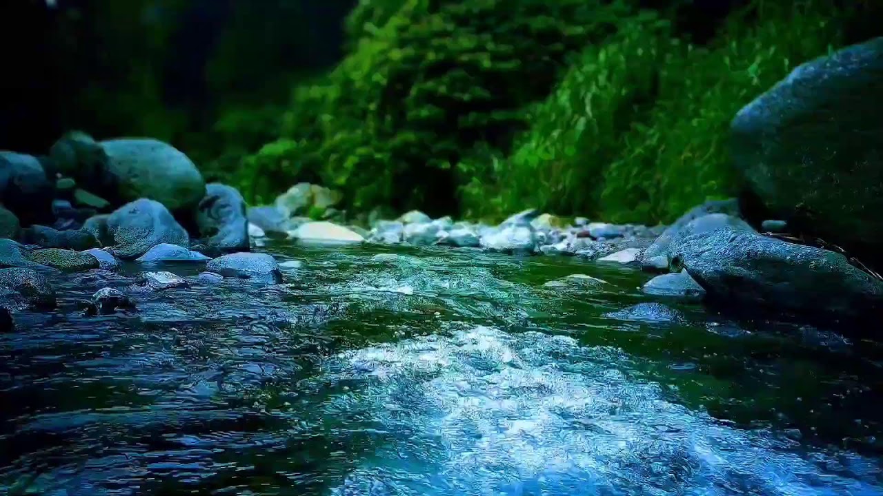 🍃 Soft Night River ASMR Sounds for Deep Sleep, Relaxation & Peaceful Rest