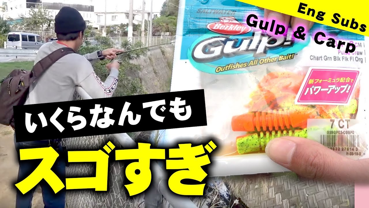 ガルプの事まだ知らない人に必ず見て欲しい動画【Eng Subs】【ルアー鯉】【Gulp!】【SHORYU】