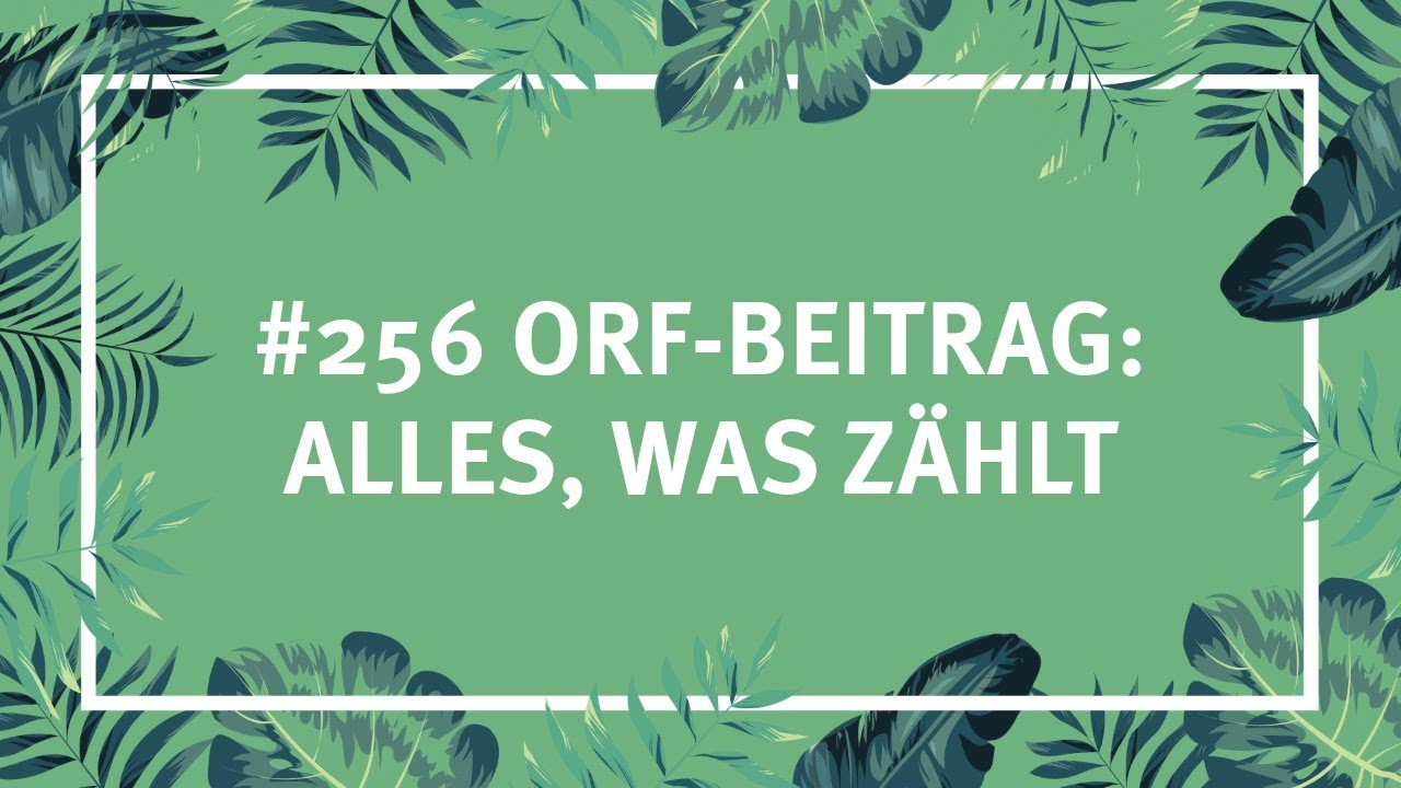 #256 ORF-Beitrag: Alles, was z&auml;hlt - Steueraffe