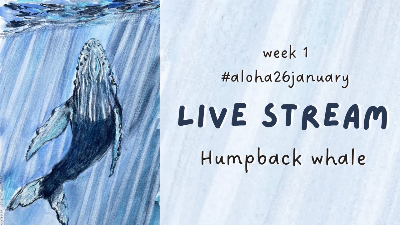 Humpback whale in watercolor and mixed media / Paint along with me / LIVE drawing session