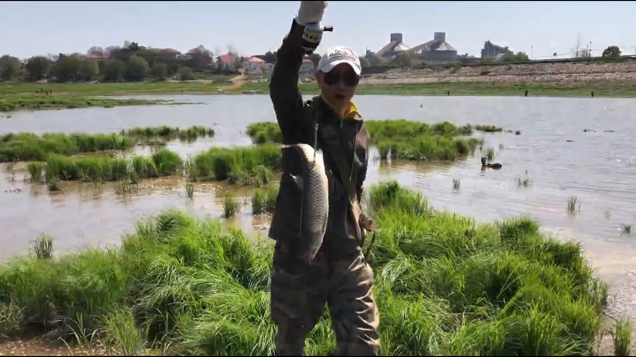 这个池塘全是高手在弹弓射鱼，小伙太眼红别人的收获了