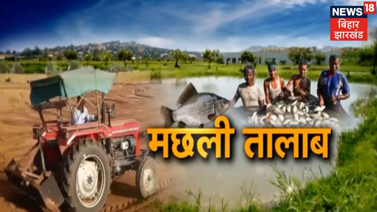 Fish Ponds | मछली तालाबों पर जरूरी जानकारी | Hindi News | Annadata