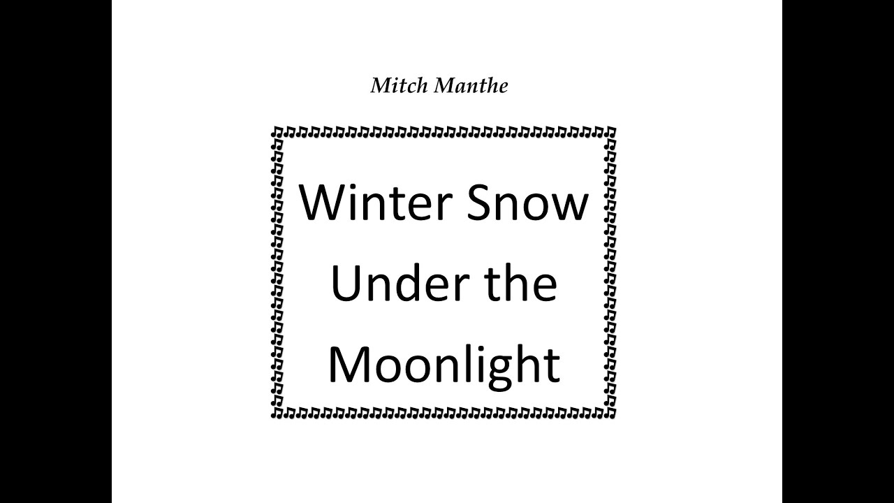 Winter Snow Under the Moonlight