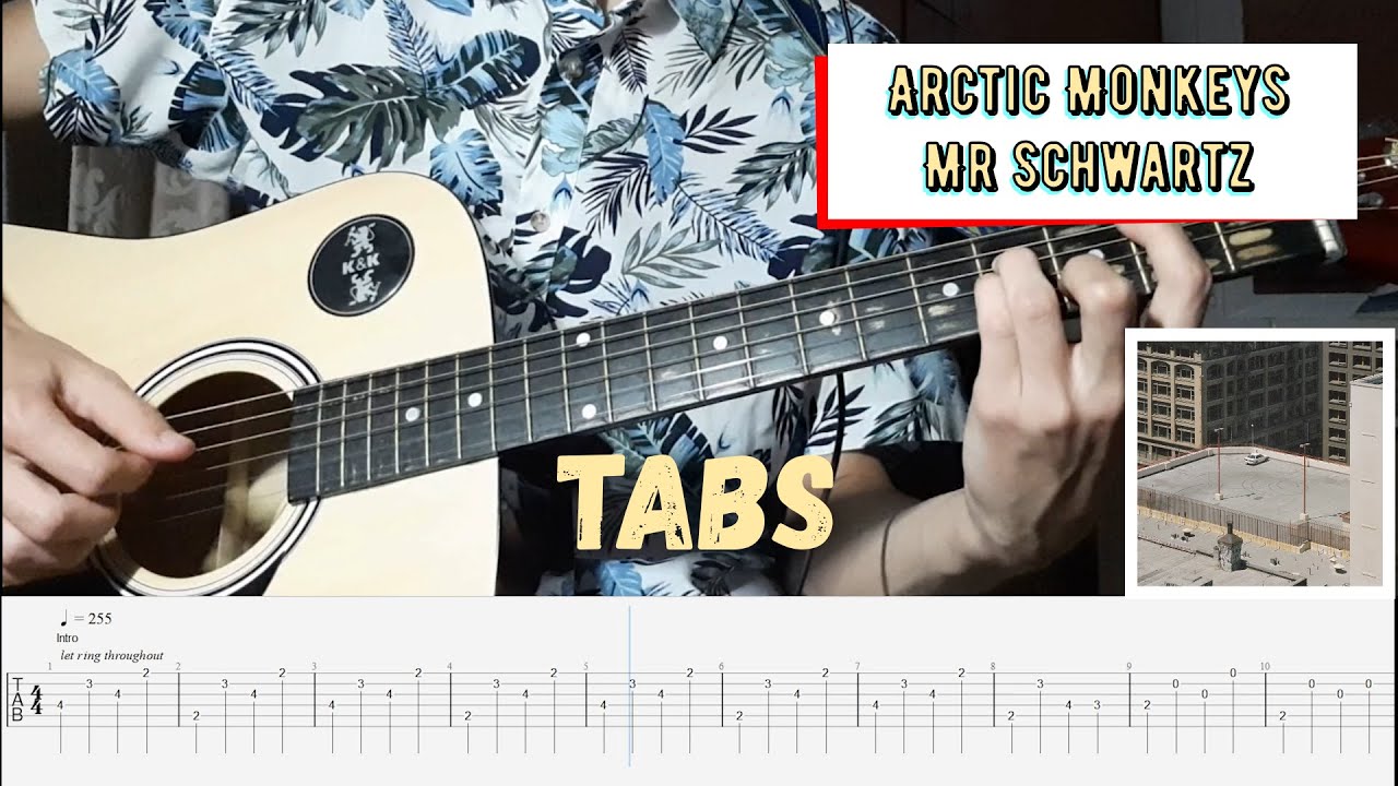 Mr Schwartz  - Arctic Monkeys (Acoustic guitar cover + TABS)