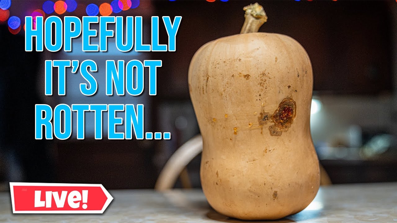 Cooking this Ugly Butternut Squash Live!