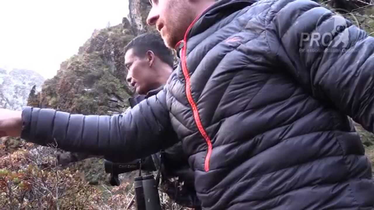 Himalayan Blue Sheep and Tahr Hunt in Nepal 2014