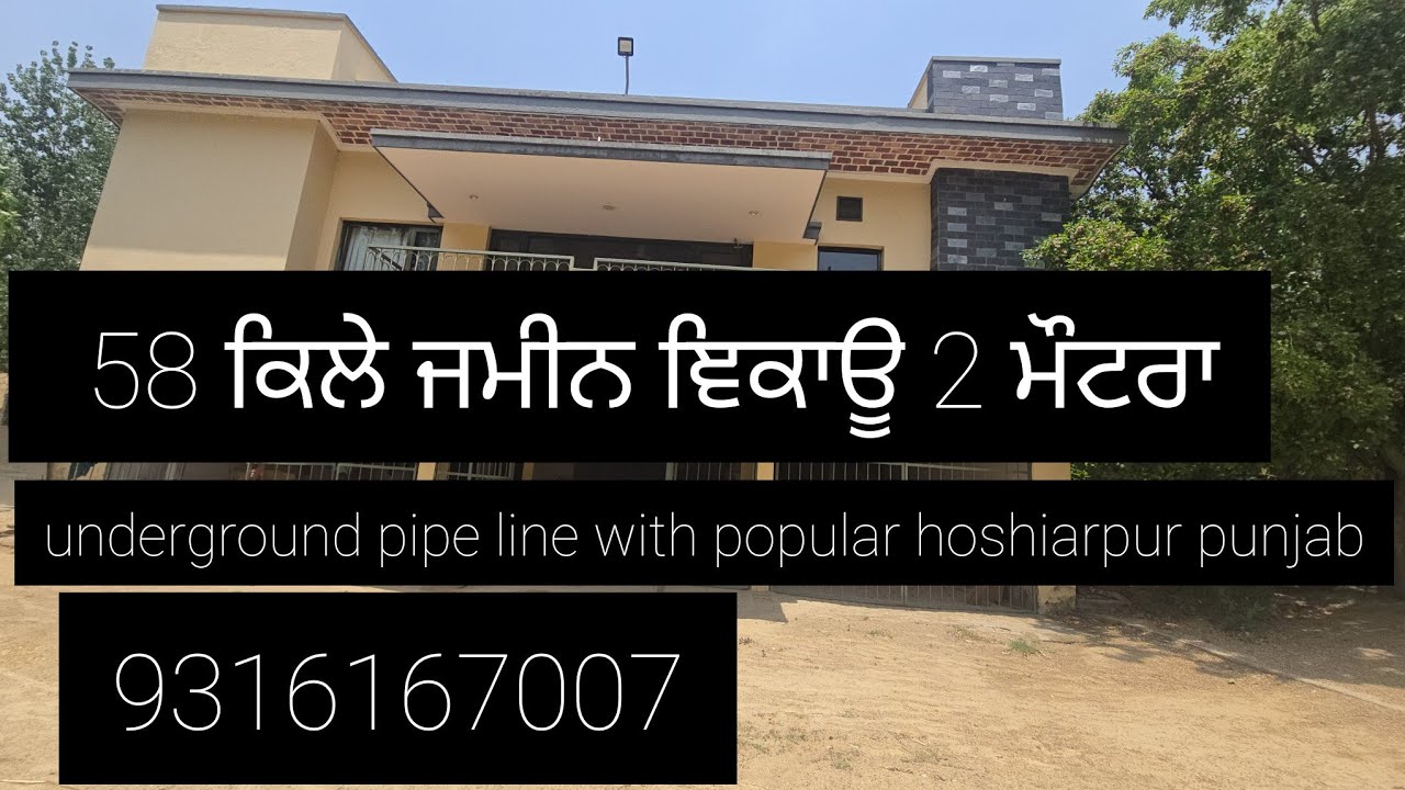 58 Acre land with popular, kothi 2 tubewell connection under pipelin for sale  Hoshiarpur 9316167007