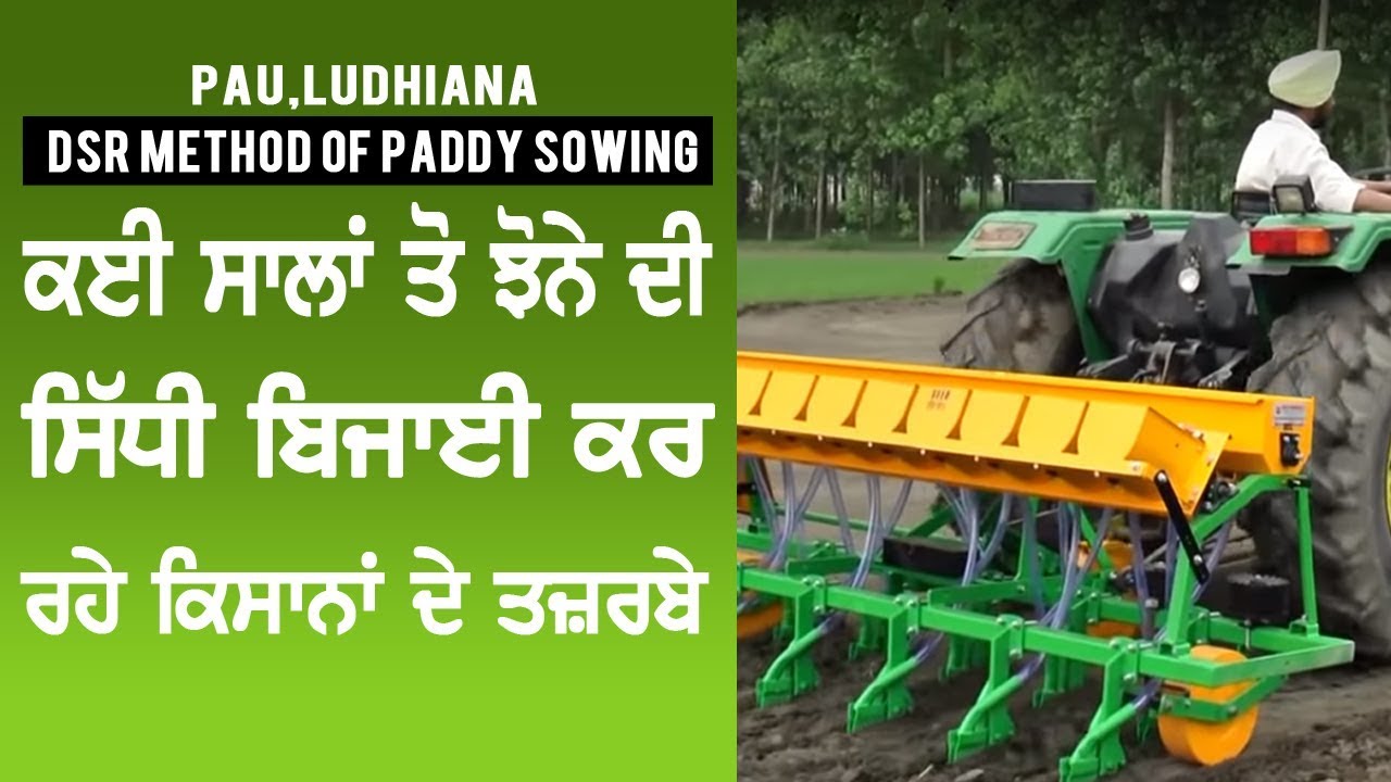 ਝੋਨੇ ਦੀ ਸਿੱਧੀ ਬਿਜਾਈ ਬਾਰੇ ਕੀ ਕਹਿੰਦੇ ਹਨ ਜ਼ਿਮੀਦਾਰ I Direct seeding of paddy DSR method I PAU