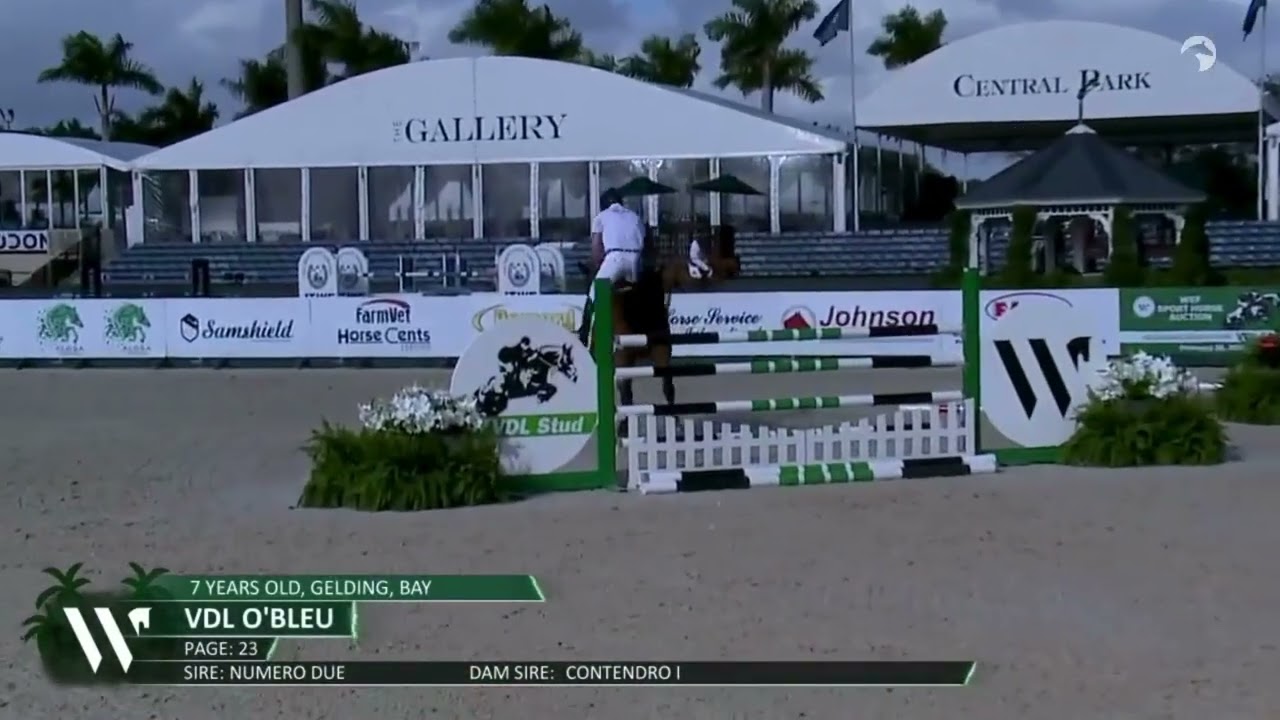 VDL O'Blue Presentation - WEF Sport Horse Auction 2026