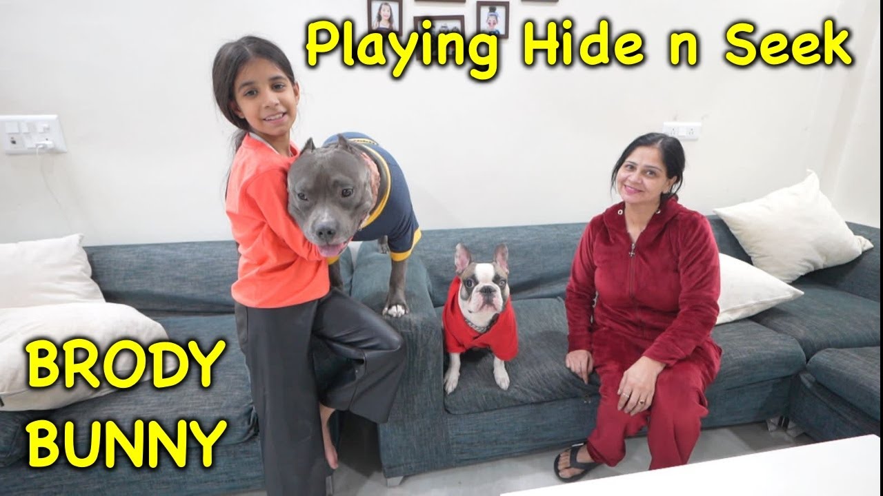 Playing Hide n Seek | Harpreet SDC