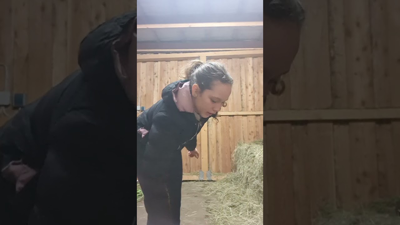 Teil 1 Stall Tag #reiten#butifyoucloseyoureyes #horse #music 