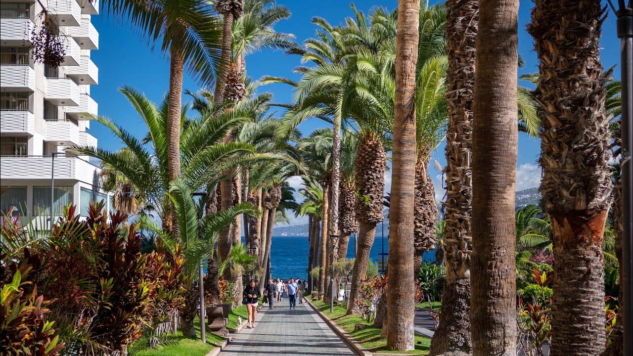 Puerto de la Cruz Tenerife - Winter - City Highlights