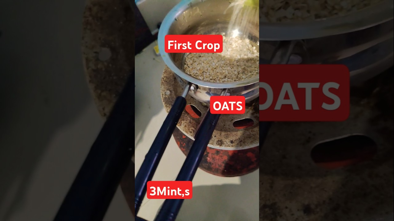 OATS 3Mint,s ,First crop Brand,weight loose,Testy&Healthy Breakfast,####😛😝😜🤪💪🦾🦾💪&pound;&pound;@