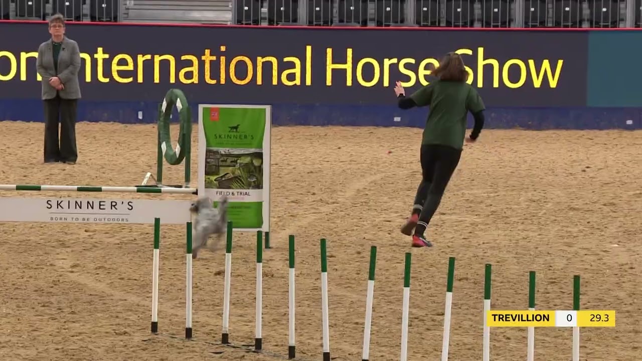 Kennel Club Intermediate Agility Stakes Saturday 21st Dec 20024 @ LIHS