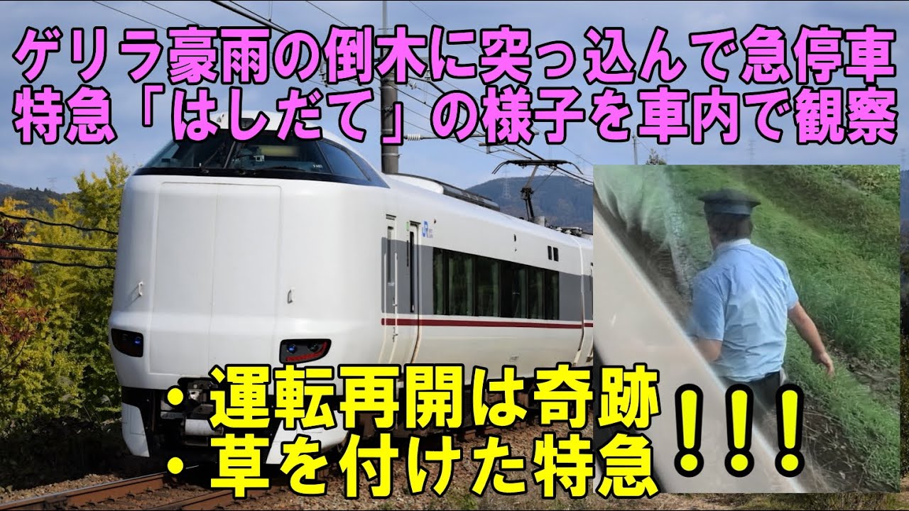 ゲリラ豪雨で架線に倒木「特急はしだて・まいづる」が急停車から運転再開まで・草付いて走る電車
