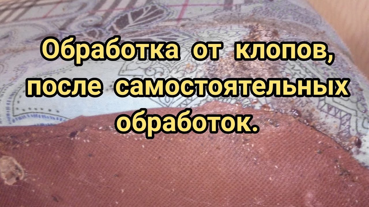 Обработка от клопов, после самостоятельных обработок. Ч-1