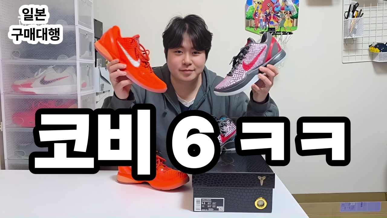 코비 6 ㅋㅋ