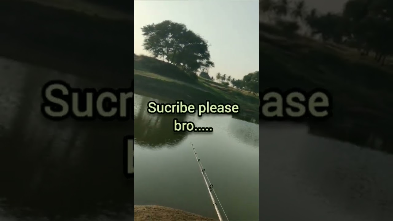 Hunting fishing in karnataka #sortsvideo  #ahetesham Khan Fishing #BARAA HUNTER  The Art of fishing