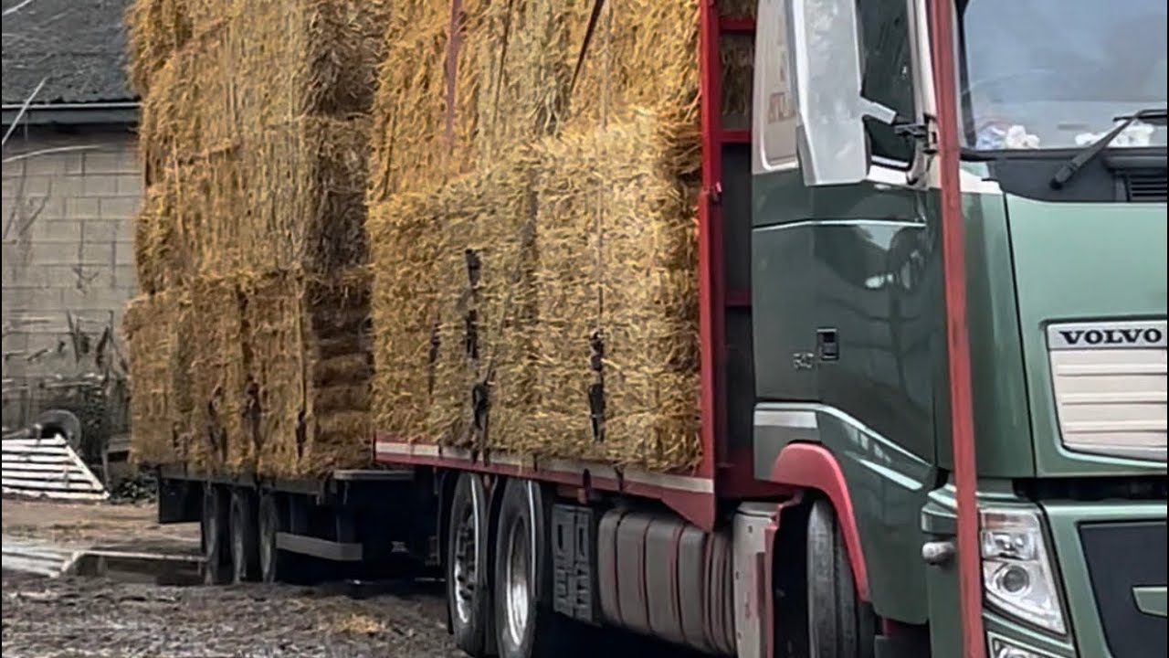 U.K. Lorry Drivers in London and The Cotswolds