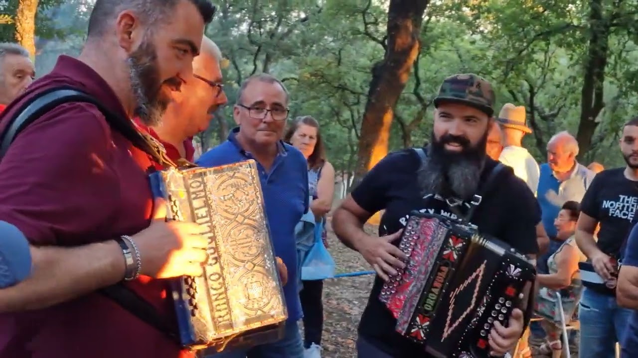 Mário Ribeiro & Amigos