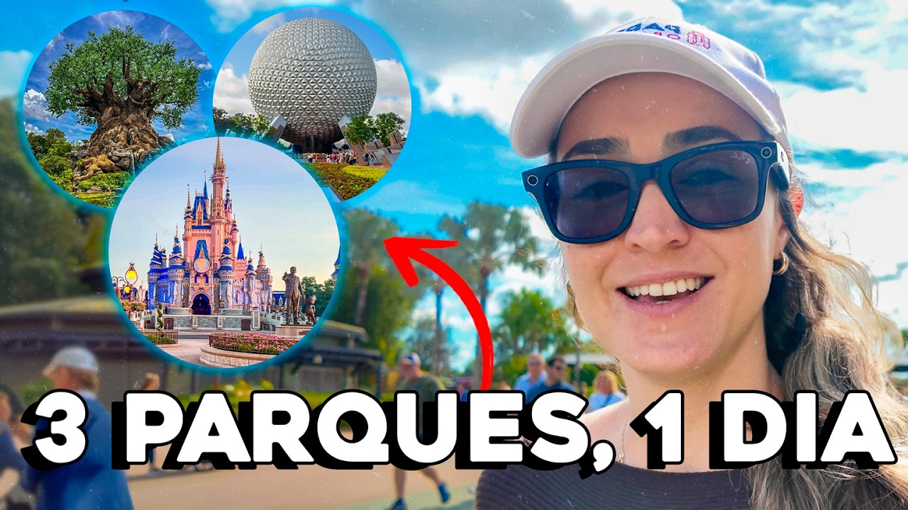 Como Funciona o Park Hopper na Vida Real?