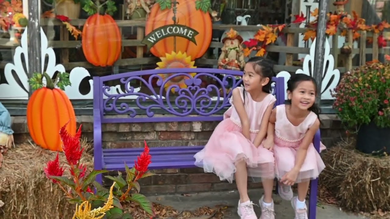 Fall in Talihina Oklahoma| Miền Quê Nước Mỹ