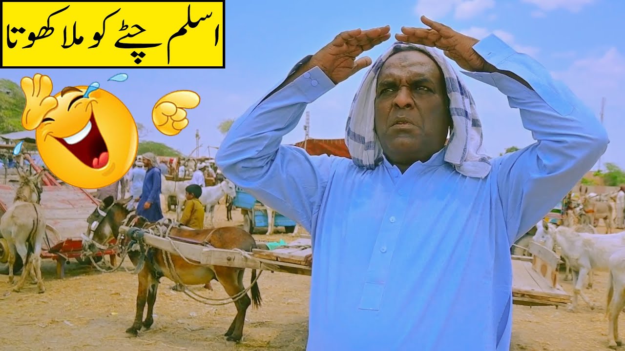 Aslam Chitta New Funny Video | New Funny VIdeo | New Comedy Video | Apni Team Funny