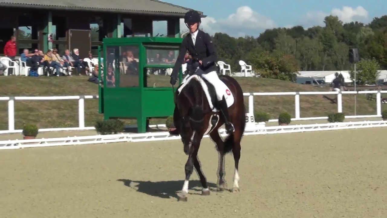 GENTLEMAN FRH & Sandra Auffahrt - Finale Teil Dressur