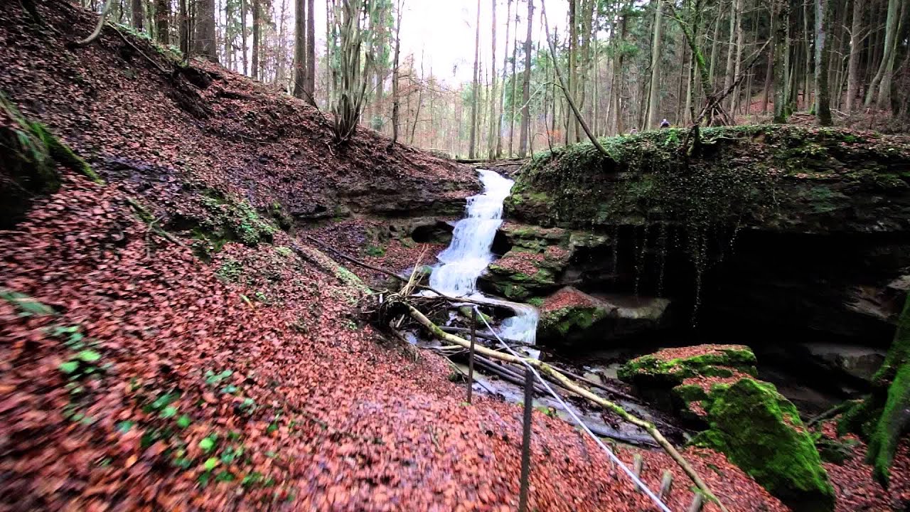 Altdorf bei Nürnberg - Natur Umgebung