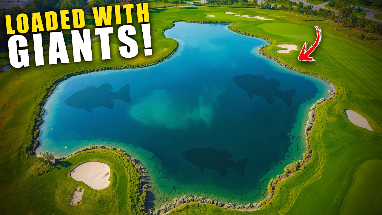 Sneaking to Fish LOADED Golf Course Ponds!