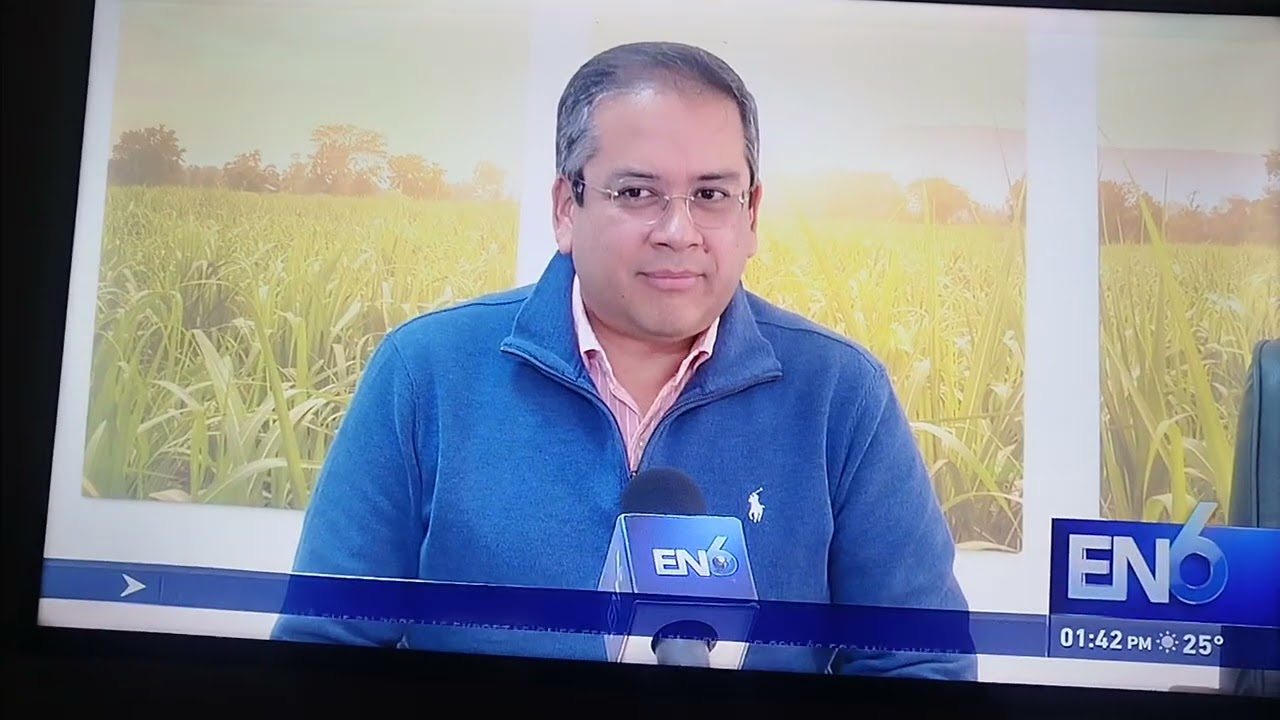 Crisis en el sector azucarero: áreas de cultivo en retroceso
