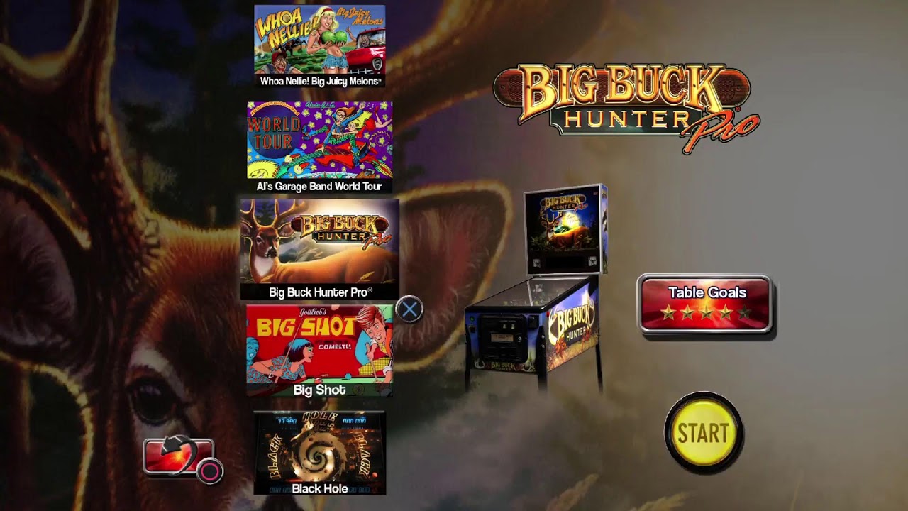 Pinball arcade four player games.