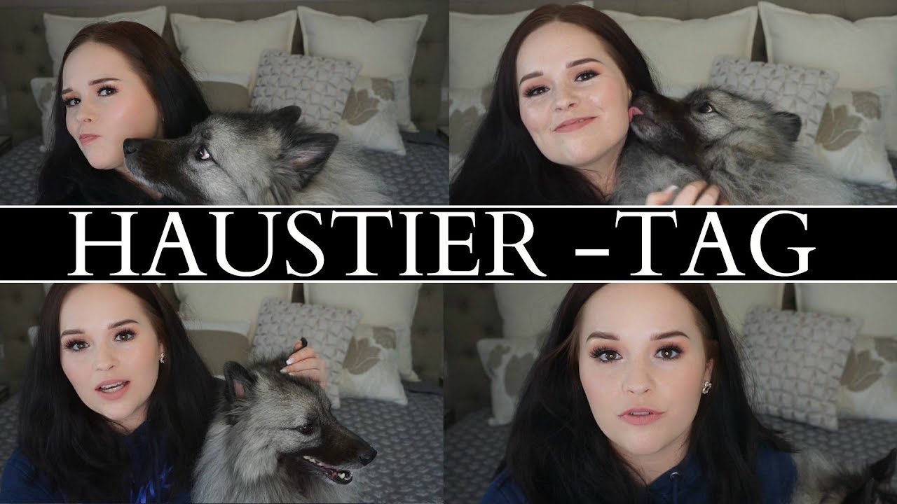HAUSTIER-TAG & STORYTIME [ WOLFSSPITZ EDITION]