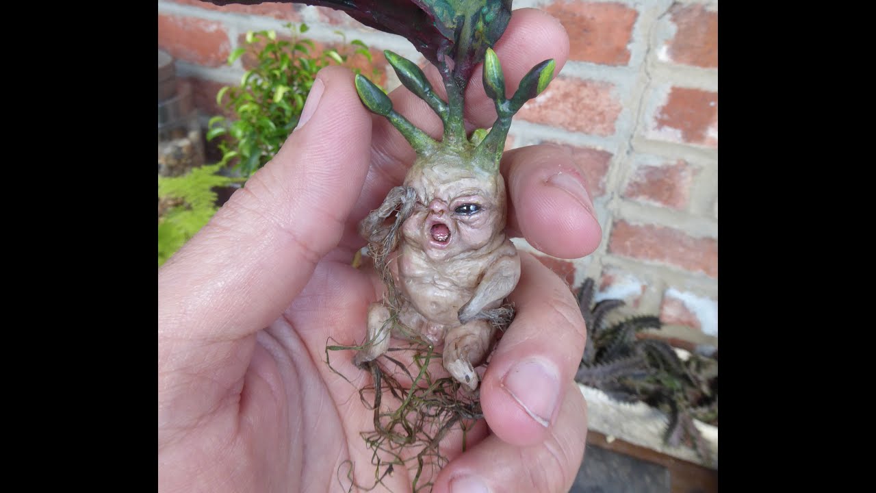 Making a Harry Potter inspired mandrake