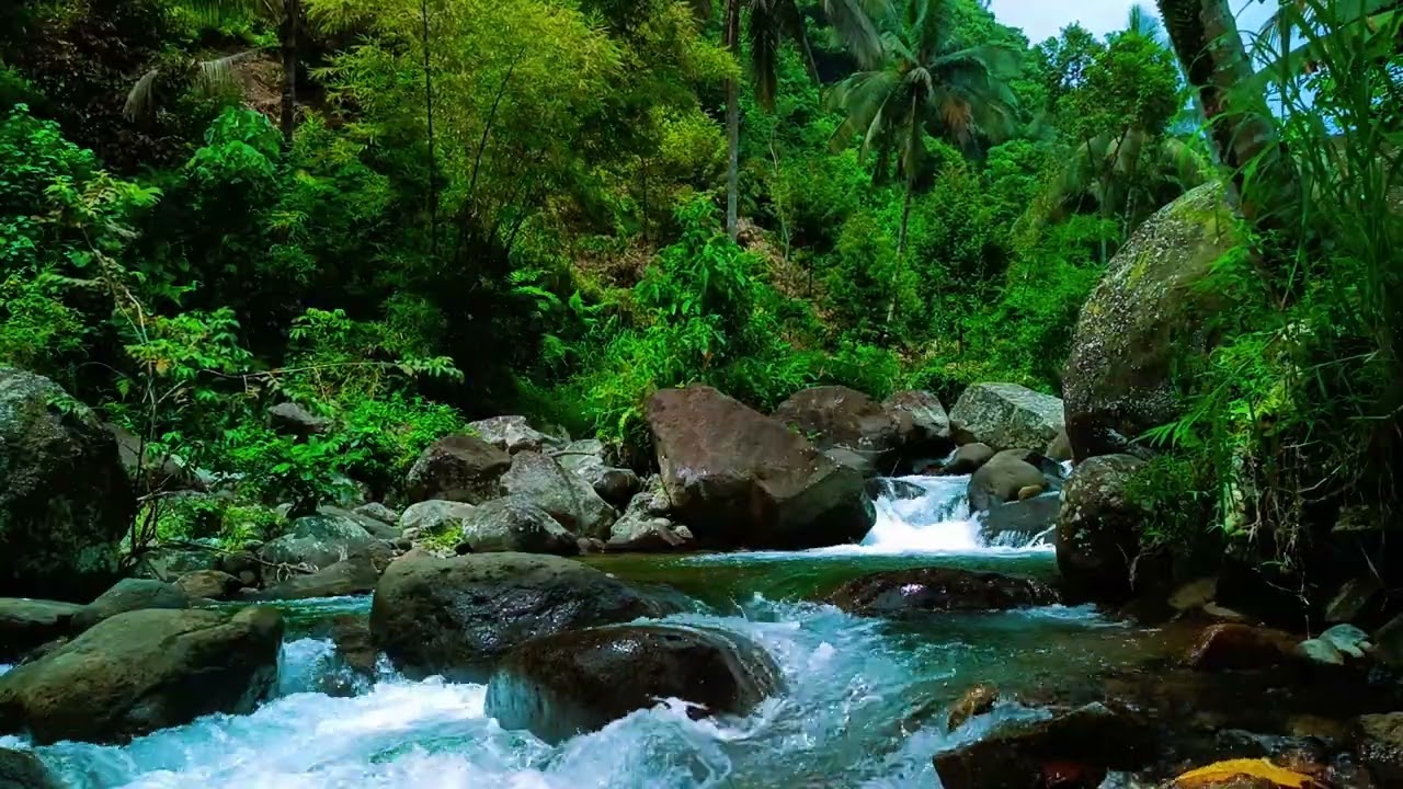 Deep Healing Sleep with HD Tranquil ASMR River Stream and Soft Water Flow