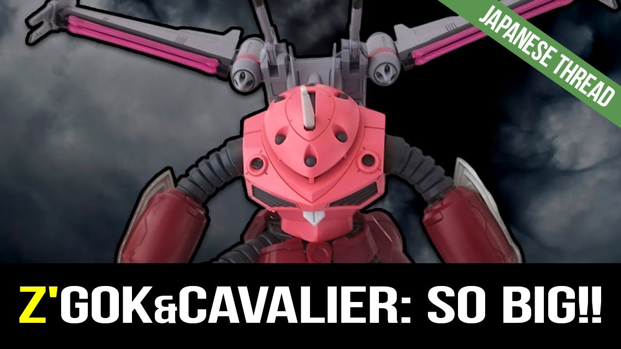 SEED Gunpla Impressions: Z'Gok & Cavalier Are Way Bigger Than Expected — Fan Reactions