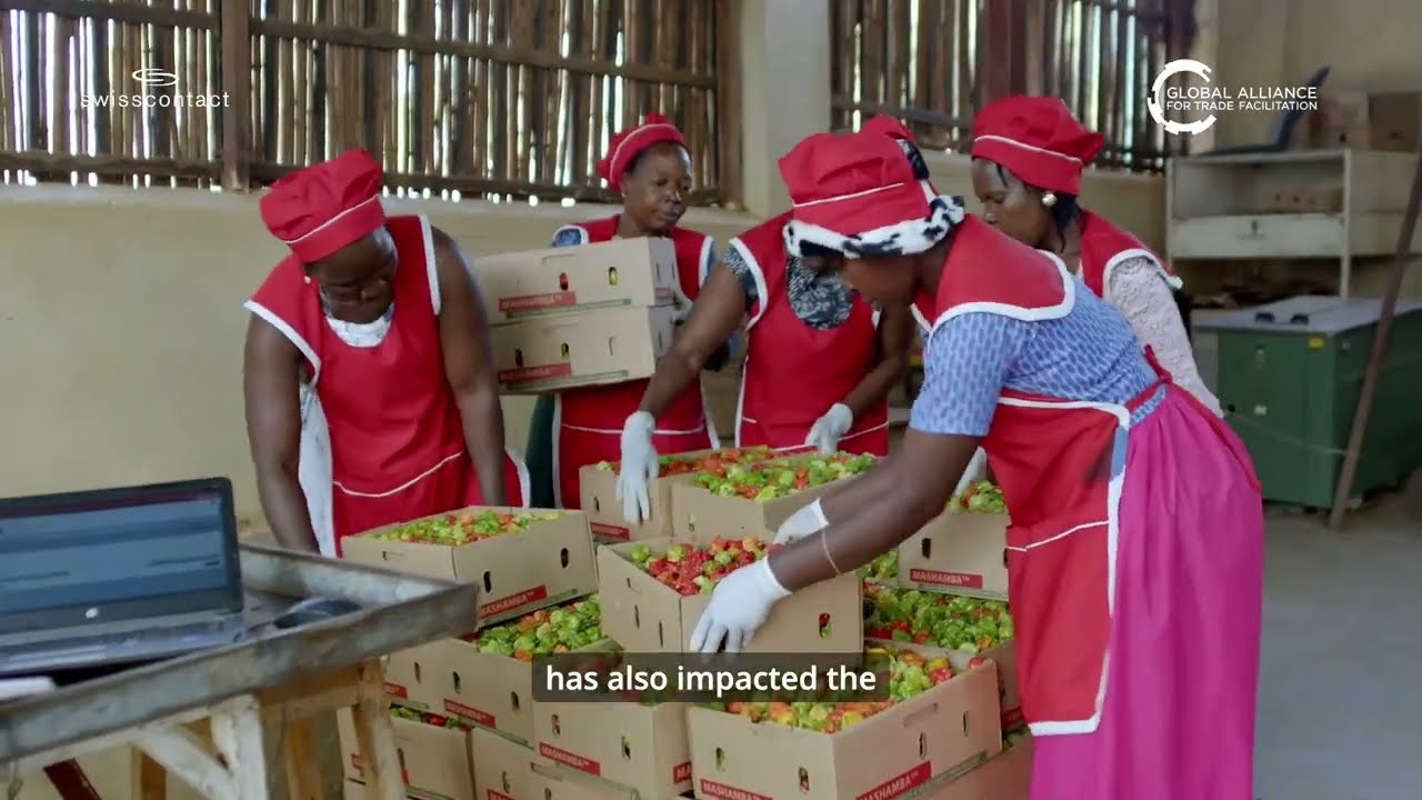 The Sauti Wave: Documenting Breakthroughs in Uganda’s Agricultural Sector