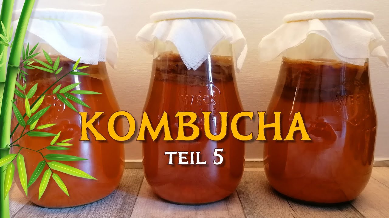 Kombucha Teil 5 - 550 Liter in einem Jahr und wir lieben es - Pilze als 