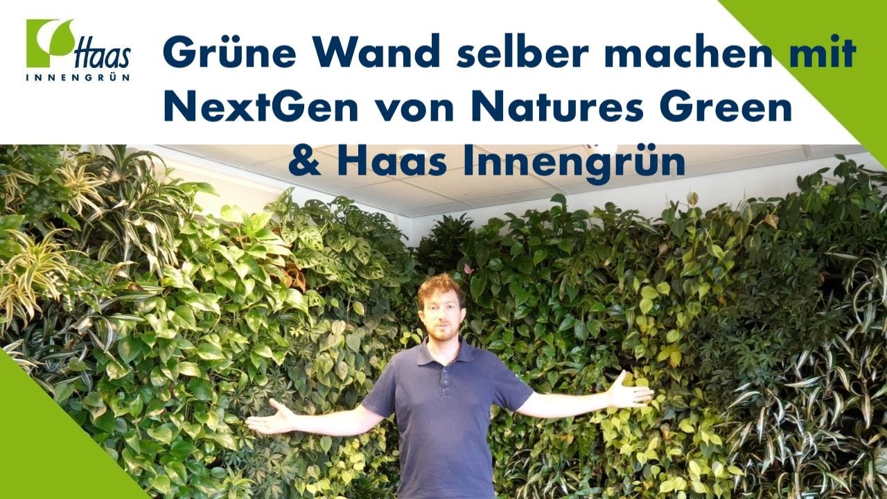 Grüne Wand selber machen mit NextGen von Natures Green -Vertikale Begrünung von Haas Innengrün