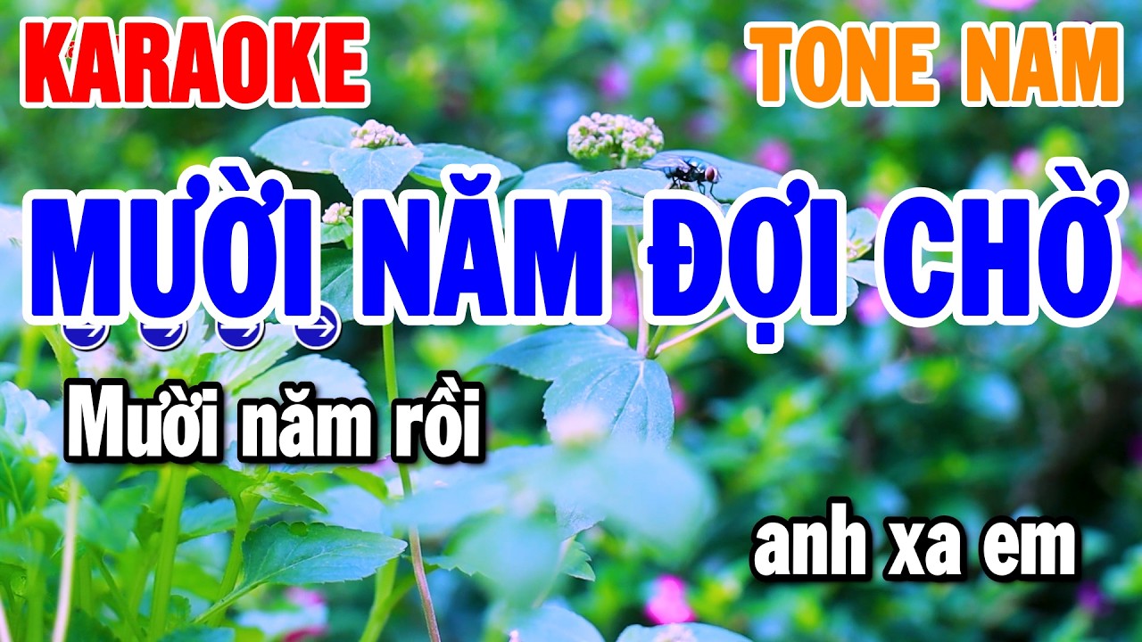 Mười Năm Đợi Chờ Karaoke Tone Nam Nhạc Sống Cha Cha Hay | Thanh Hải Organ