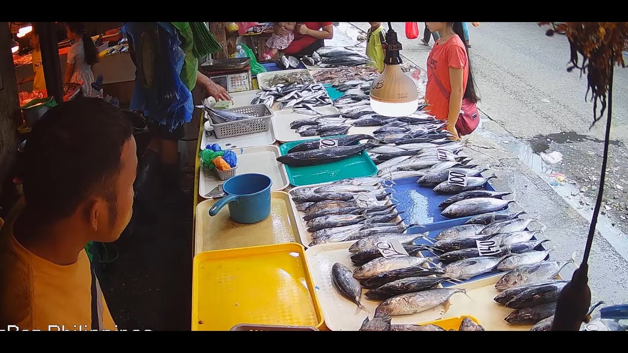 🔴 PHILIPPINES Live camera Bankerohan Fish sellers Servery, Davao City #philippines
