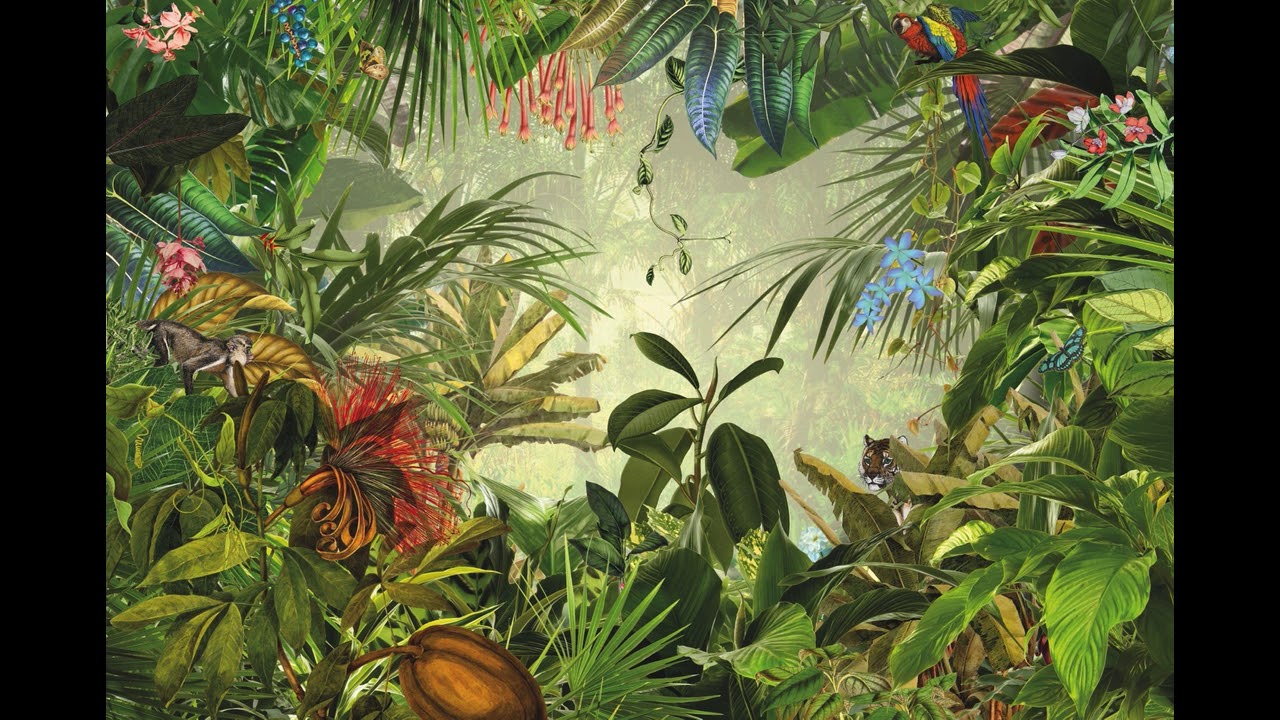 RaFuze - Tropical Groove
