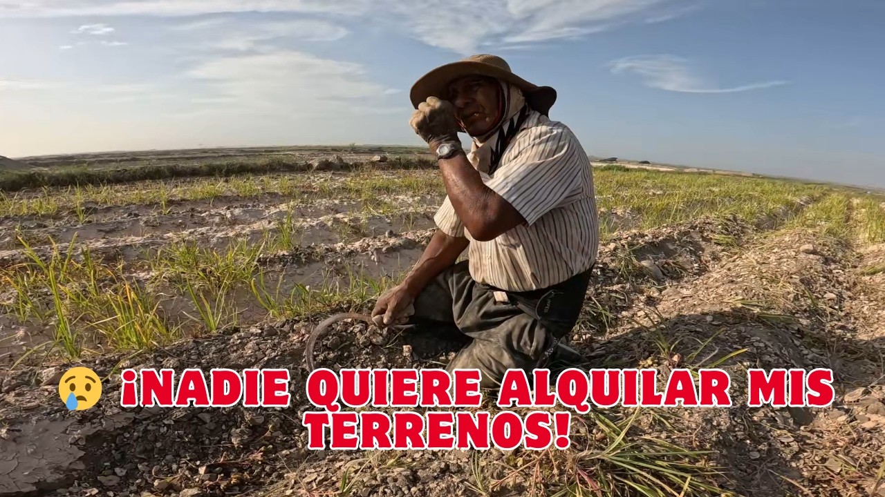 Pensé que alquilaría rápido… pero nadie quiere mis terrenos