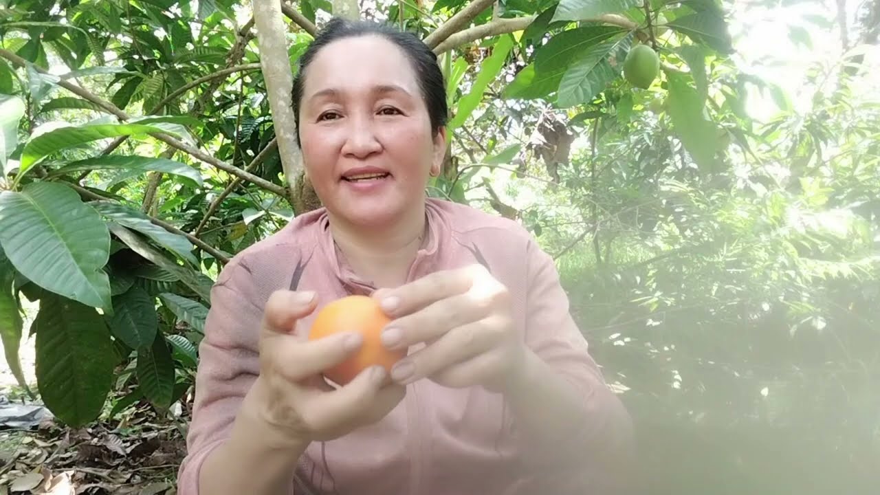 Đi Vườn Phát Cỏ Chăm Sóc Cây Sầu Riêng #buacomquenha 