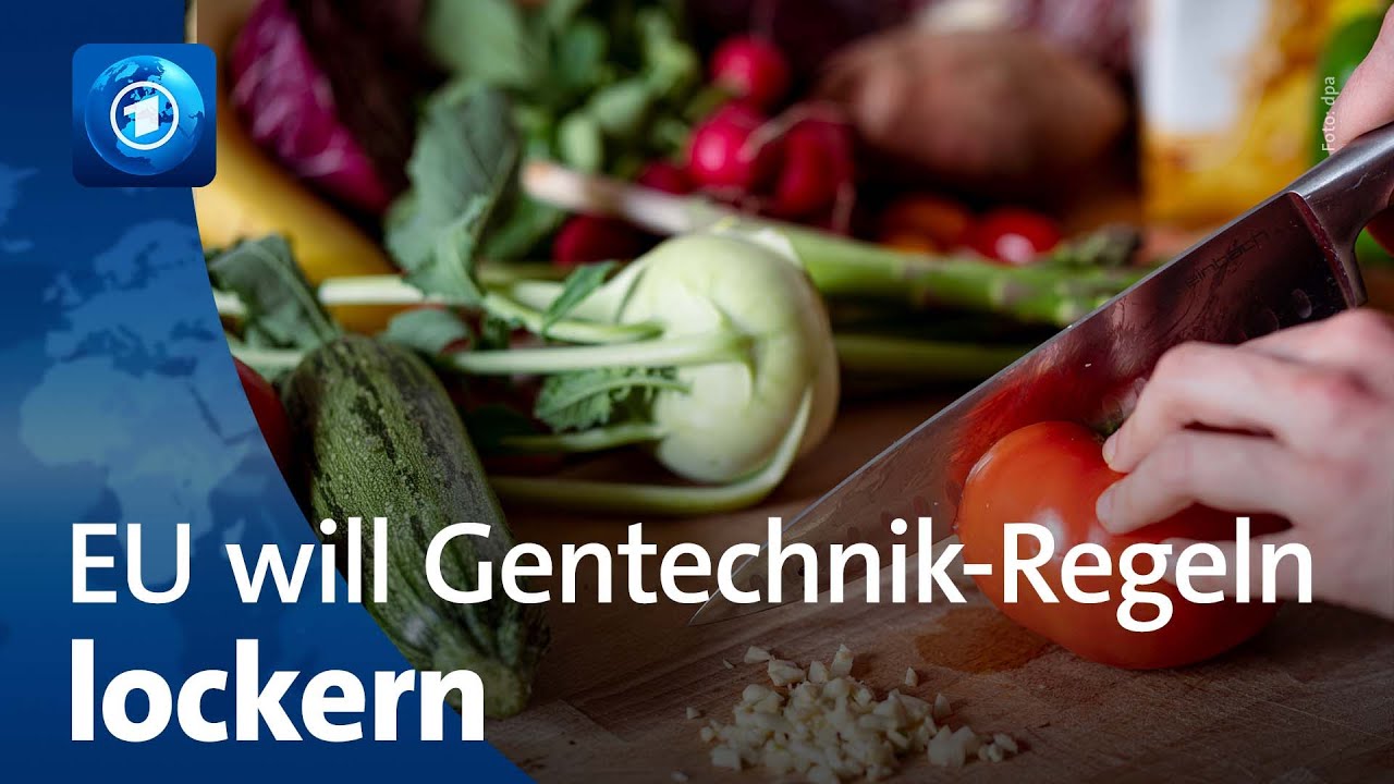 EU-Parlament will Regeln f&uuml;r neue Gentechnik lockern
