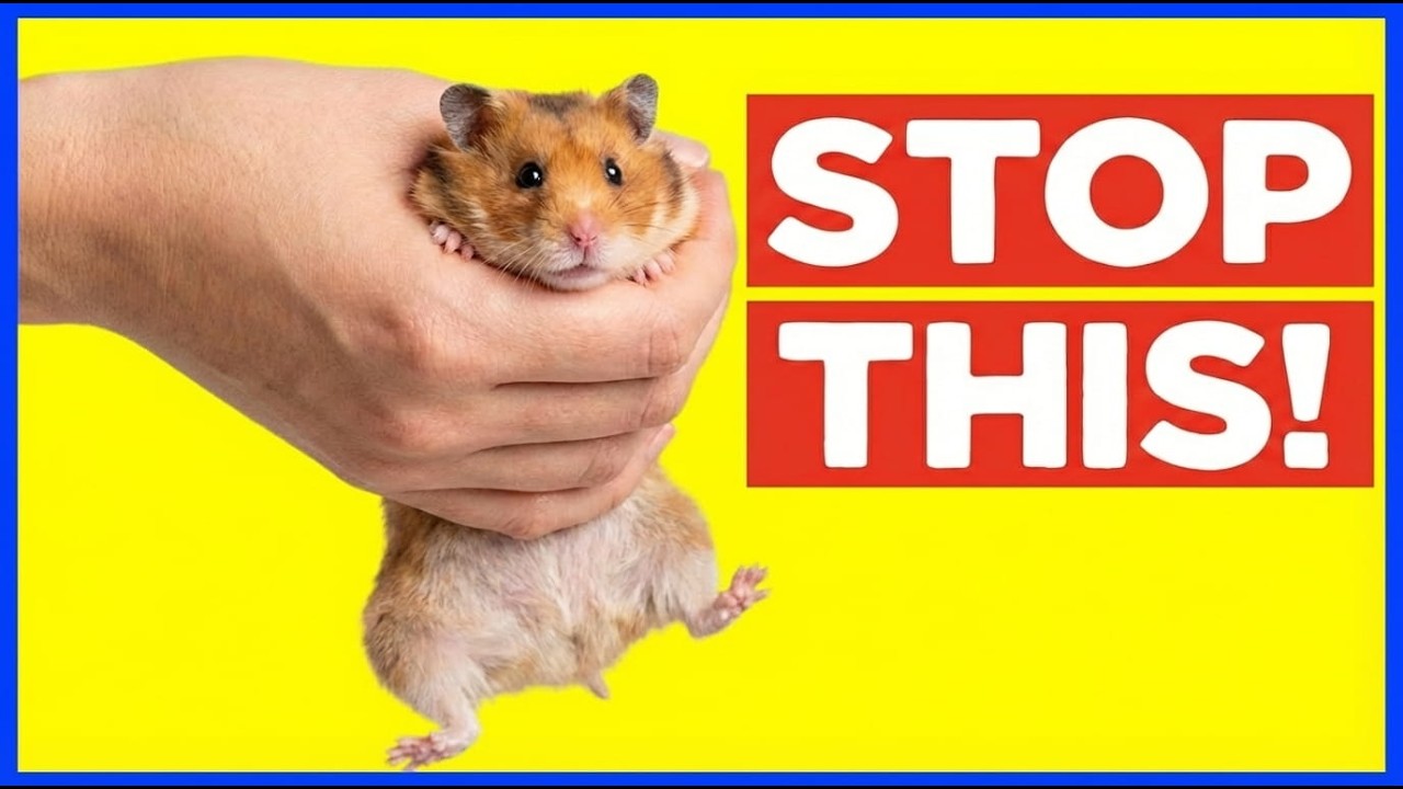 18 Surprising Things That Your Hamster Can’t Stand