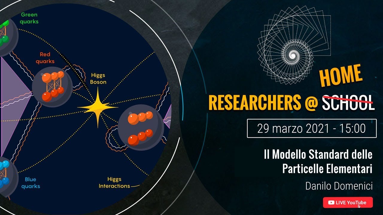 Il modello standard delle particelle elementari - D. Domenici